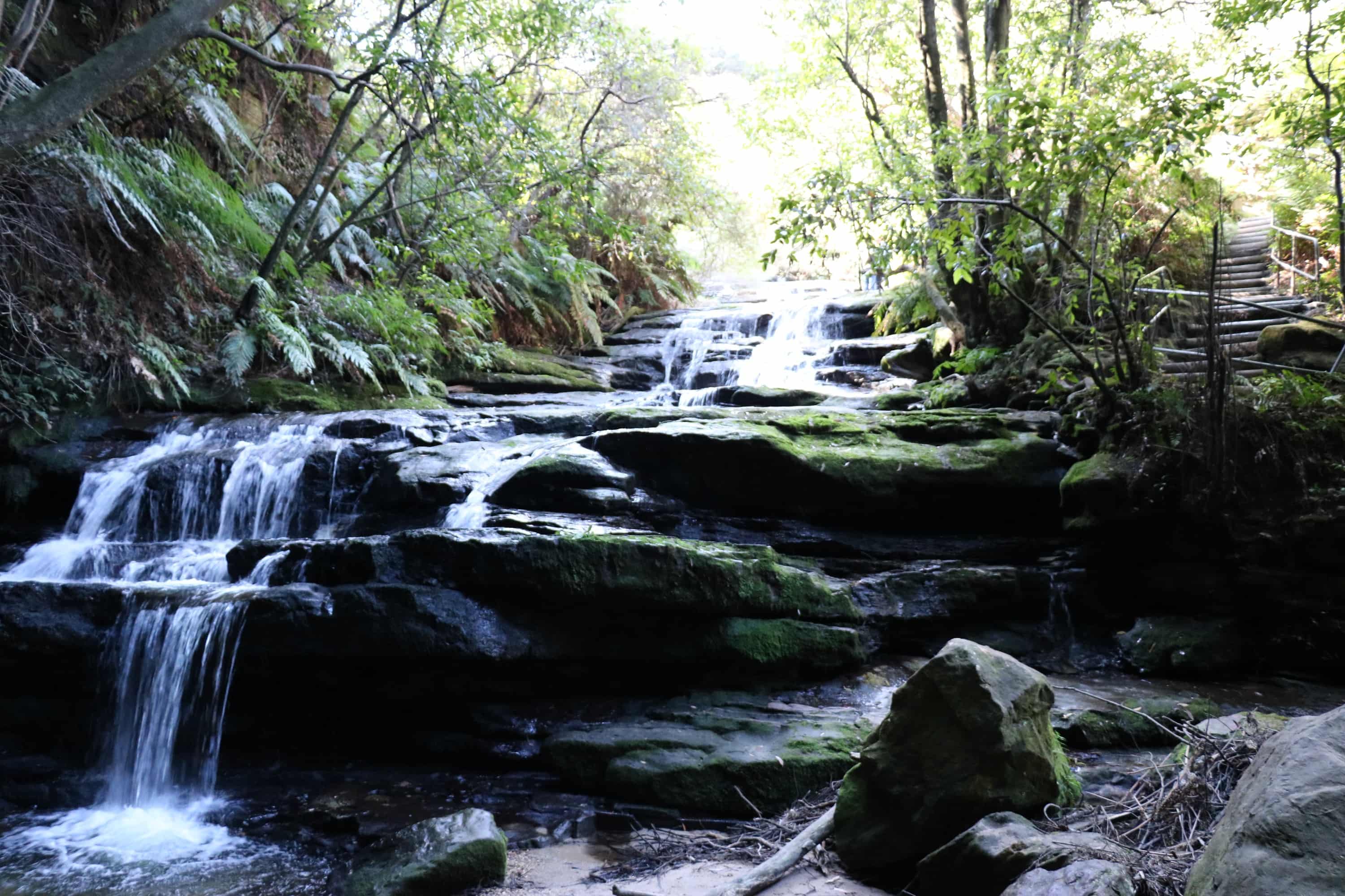 The small waterfalls that make up the Leura Cascades are surrounded by mossy ferns. 
