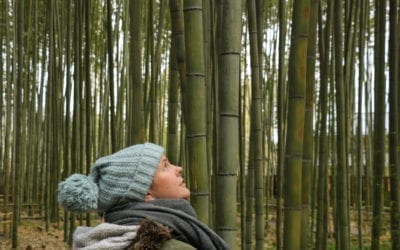 How To Get To Arashiyama Bamboo Grove