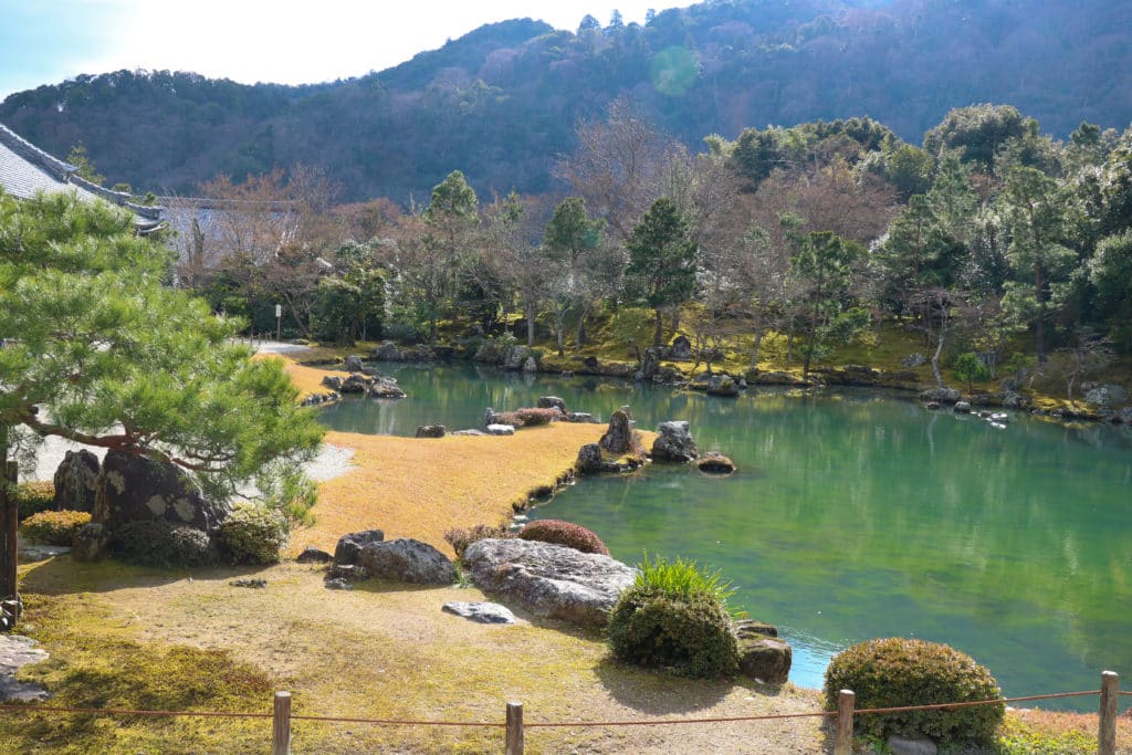 Kyoto Top
