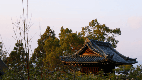 Best Places To Visit In Japan