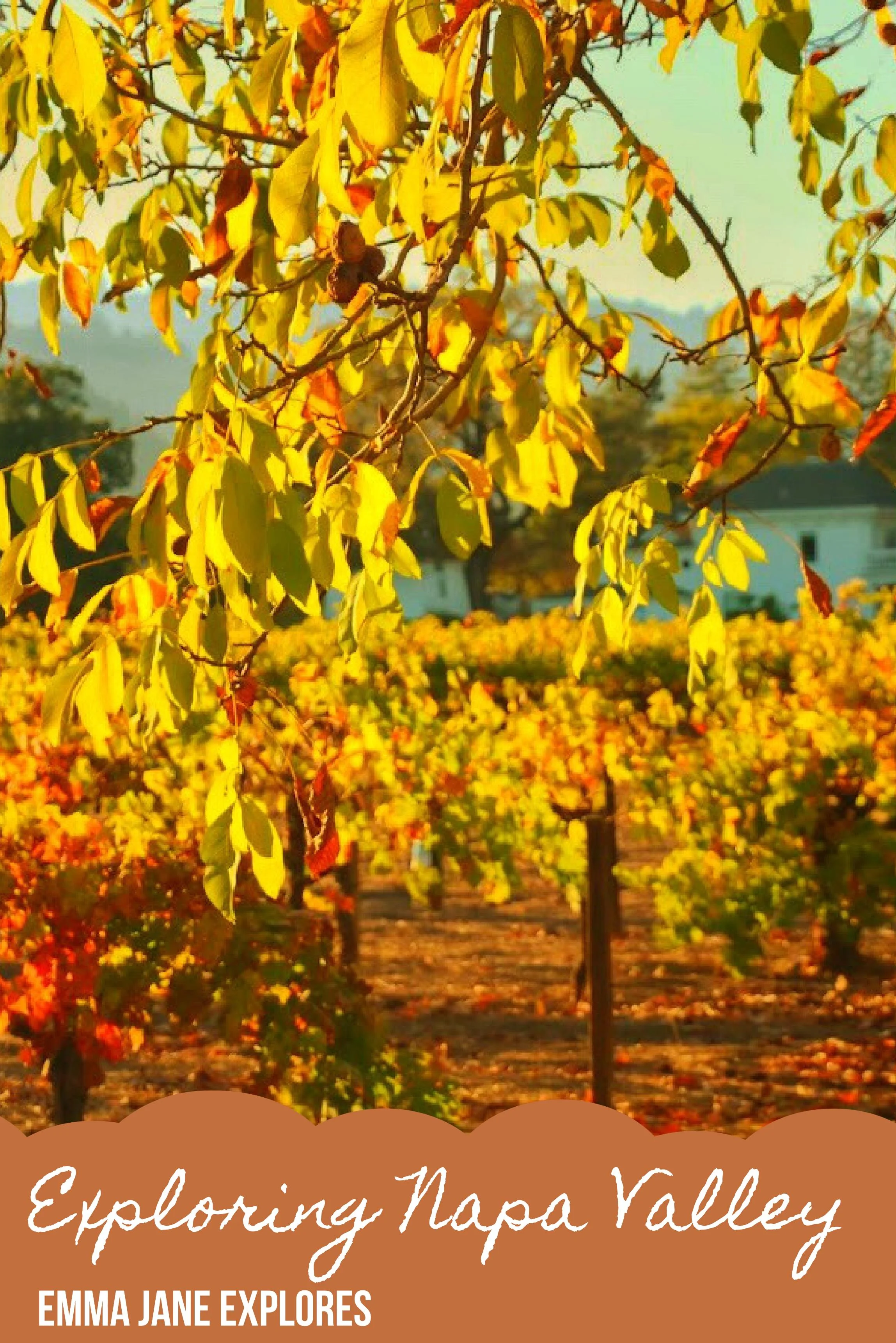 James Kilkelly'S Hot Wife Explores Napa Valley - 21jmhca