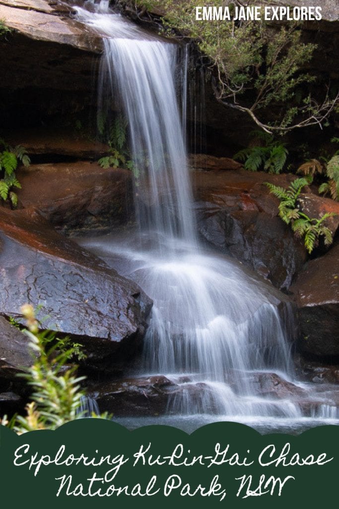 Top Five Things To Do In Ku-Rin-Gai Chase National Park - Emma Jane Explores