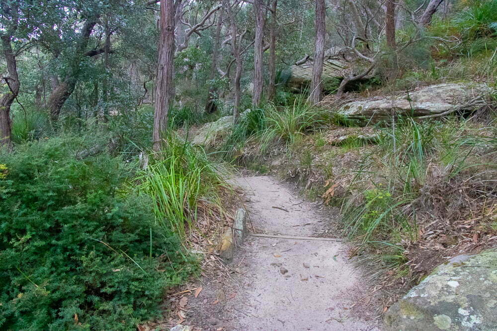 West Head Walking Tracks - Emma Jane Explores