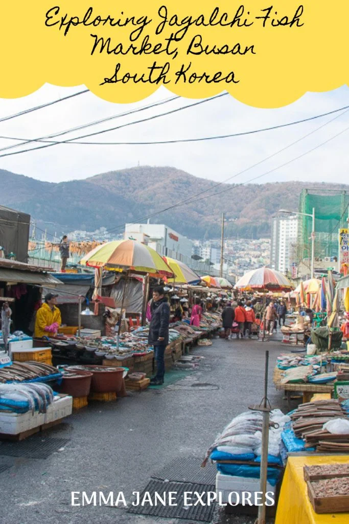 Visiting Jagalchi Fish Market in Busan - Emma Jane Explores