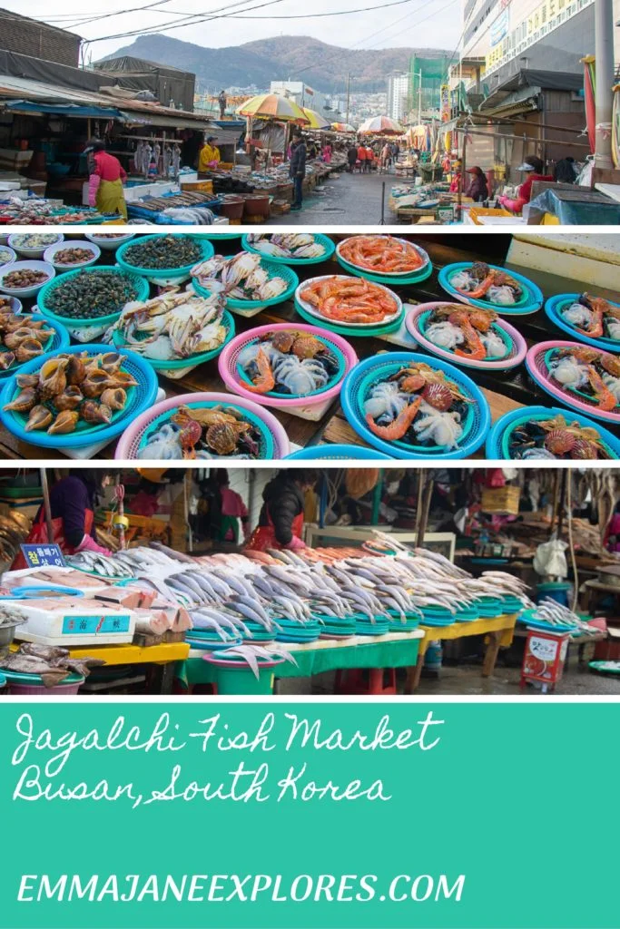 Visiting Jagalchi Fish Market in Busan - Emma Jane Explores