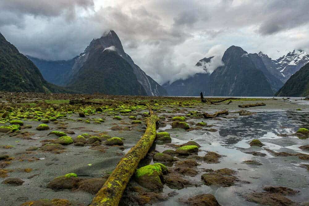 Milford Sound