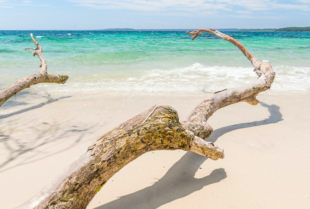 The best beaches in Australia - Emma Jane Explores