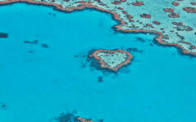 Incredible Things To Do In The Gorgeous Whitsunday Islands