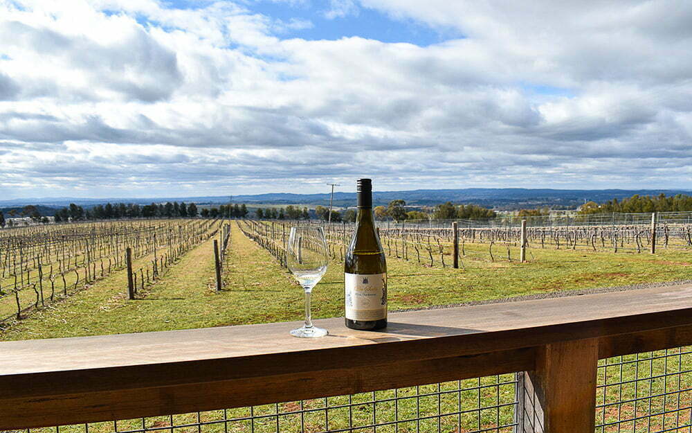A wine glass and bottle on a ledge with a vineyard in the background