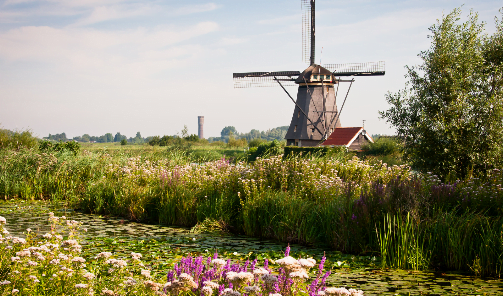 A Day Trip To The Windmills Of Kinderdijk from Rotterdam