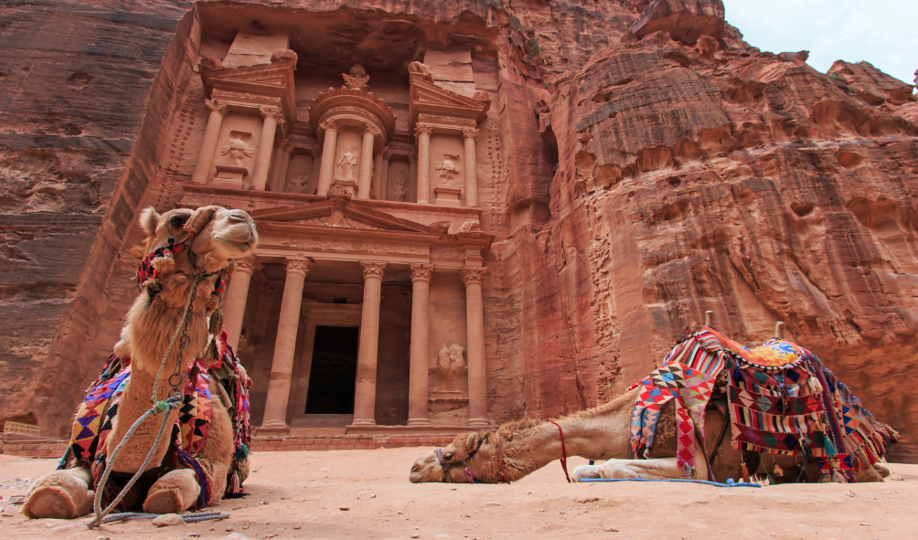 Two camels kneeling in the foreground, in the background a large columned building carved into a sandstone cliff