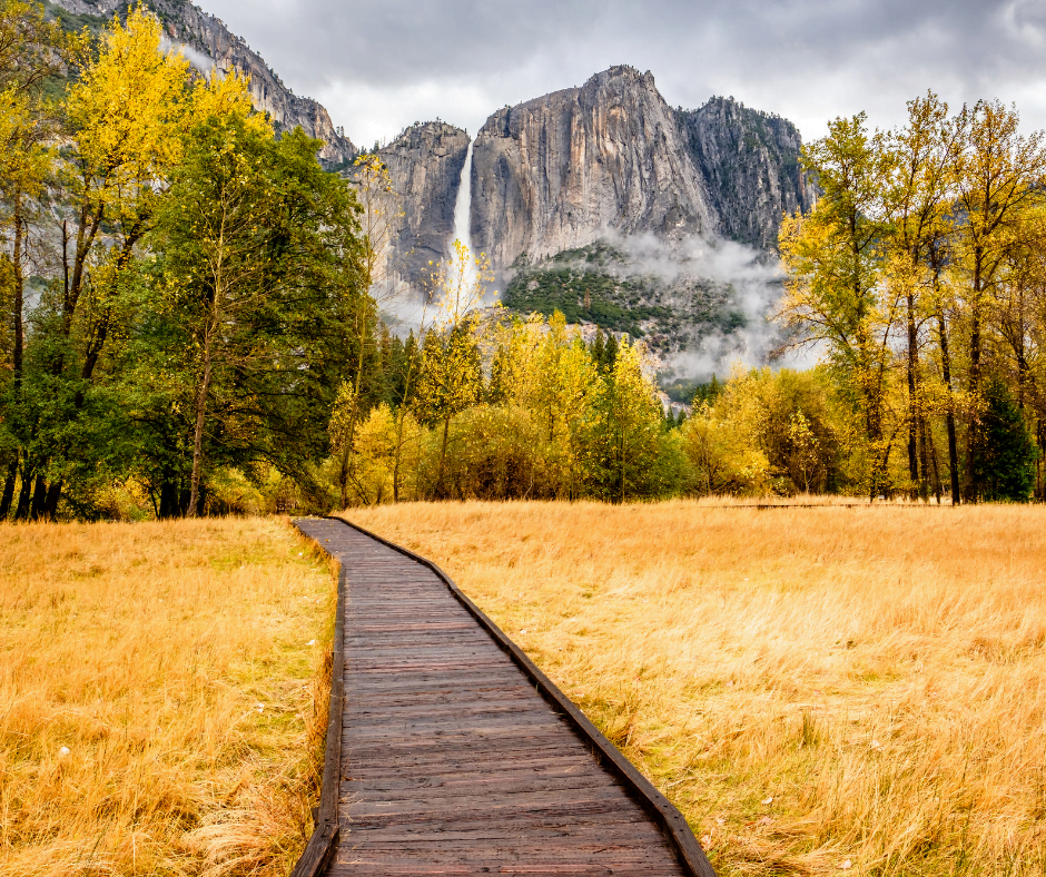 A wooden path leading towards a mountain