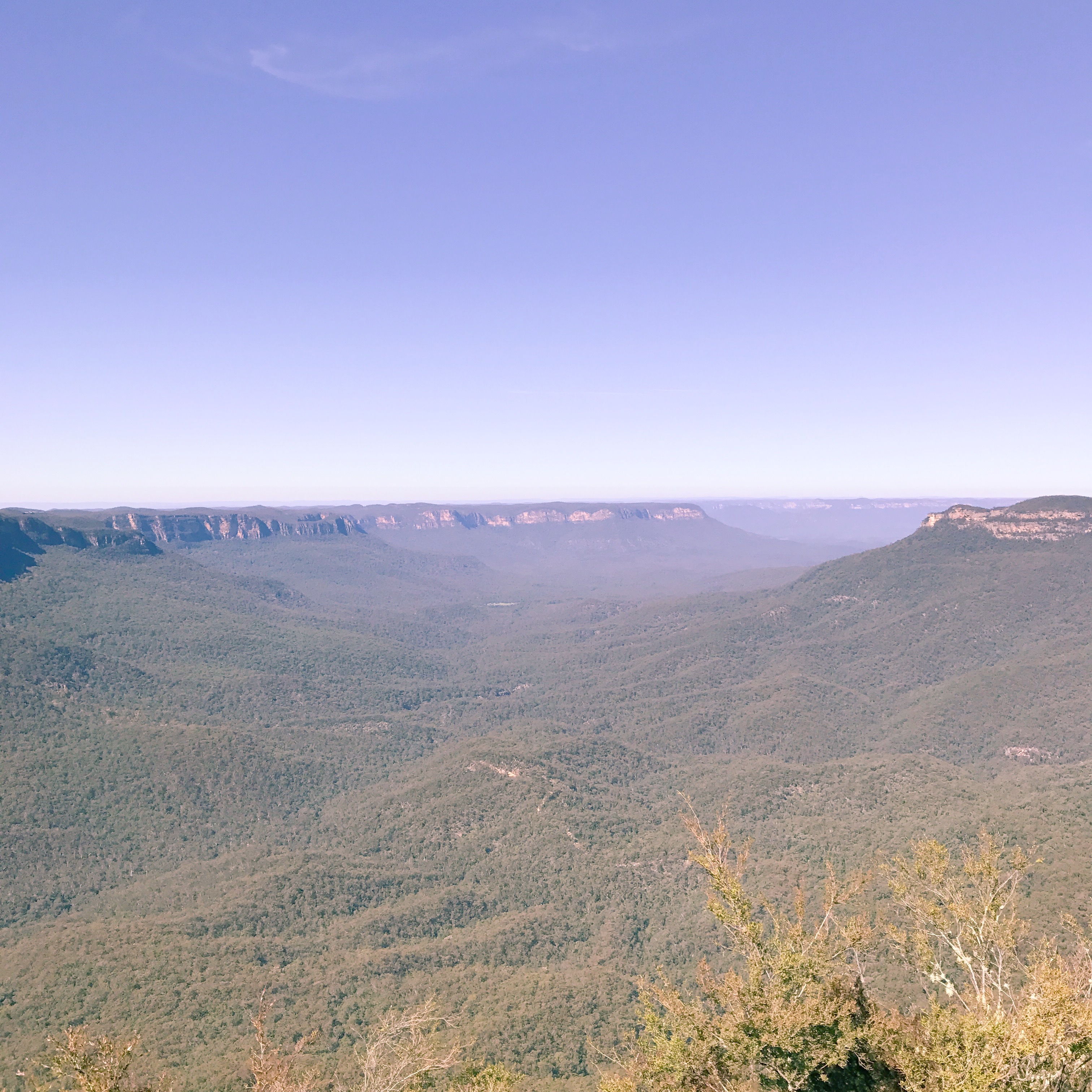 The green valley of the Blue Mountains surrounded by cliffs