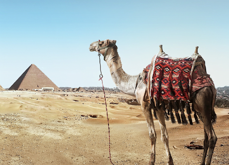 The Best Places To Go In Egypt - Emma Jane Explores