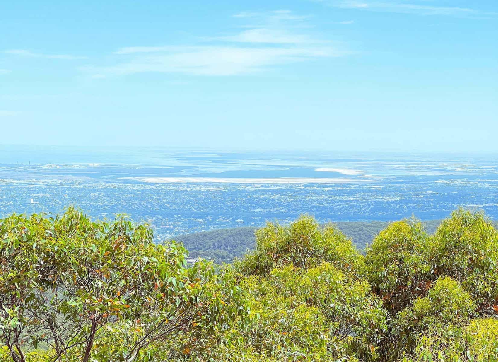 A vista of perfect blue sky and the distant coastline captured from Mt Lofty Summit